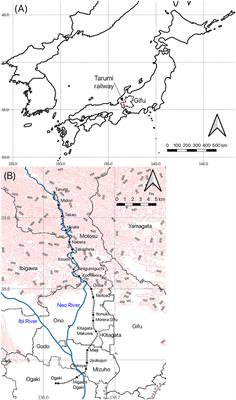 Retrieval of cherry flowering phenology on Flickr and YouTube: a case study along the Tarumi railway, Gifu, Japan